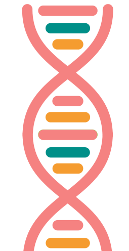 Patient FOP_graphics-07 1