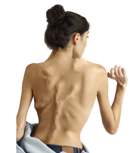 what-is-fop banner tab