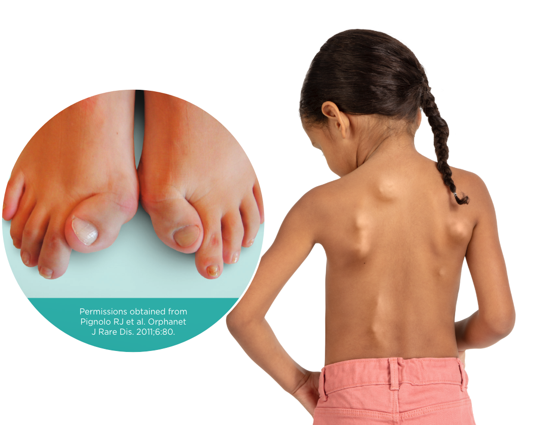 Homepage banner desktop